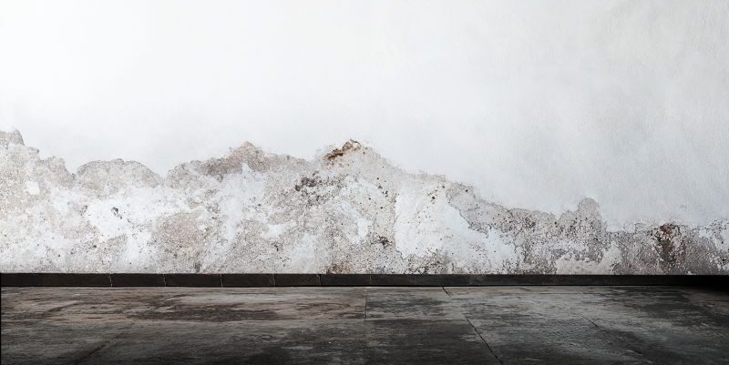 Rauhe, weiße Wand mit vermoosten Stellen und dunklem Boden.